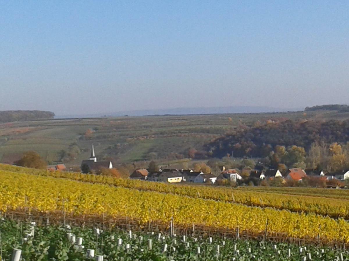 Schuler-petschler *